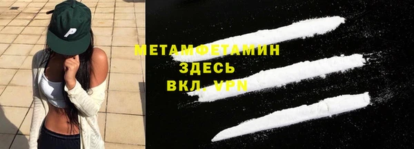 прущие грибы Зеленодольск