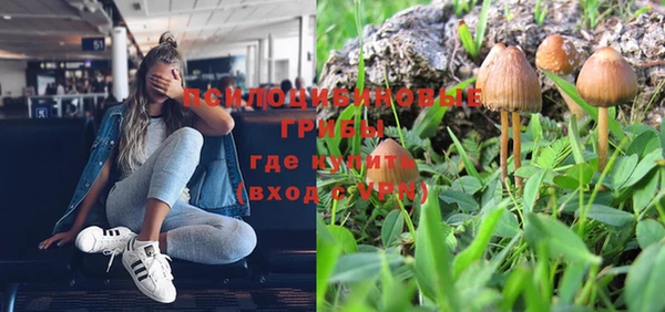 мдпв Зеленокумск