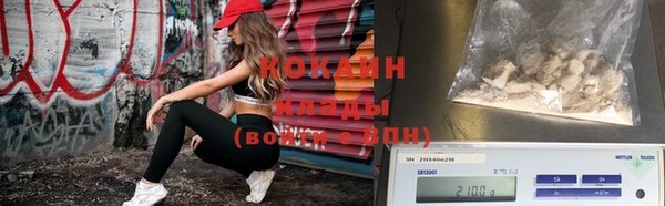 прущие грибы Зеленодольск