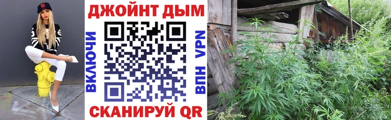 Шишки марихуана планчик Сортавала